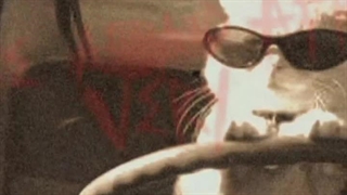 برای نیروانا‌کوشولوم:)خودتیااا.