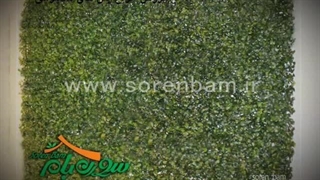 اجرای دیوار سبز پنلی