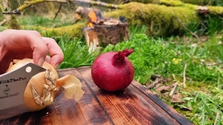 آشپزی در طبیعت | طرز تهیه گوشت بره