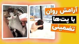 ویدیوهای کیوت پت ها که حالتو خوب میکنه