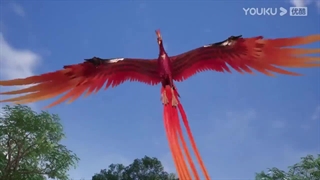 انیمه امپراطور بی همتا (Matchless Emperor (Gaishi Dizun قسمت 5