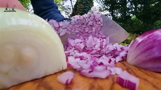 آشپزی در طبیعت | طرز تهیه سینه مرغ و سس مخصوص