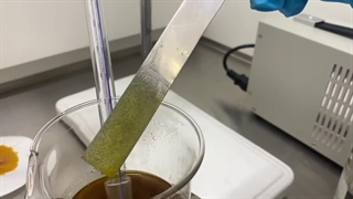 فروش عمده کلروفریک