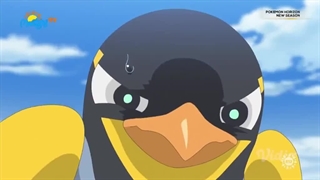 Pokémon 2023- Terbanglah, Wattrel