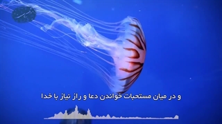 لزوم اهمیّت به مستحبّات در اسلام(آیت الله العظمی مظاهری)