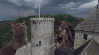 حمله به تایتان گربه ای _ قسمت 3