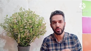 روش های تشخیص زردچوبه اصل و طبیعی از تقلبی