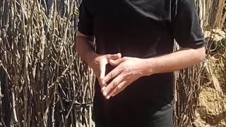 عرضه نهال گردو چندلر بصورت عمده و خرده 09144811631