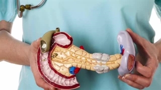 دشمن پانکراس را بشناسید❌ بهترین و مضرترین موادغذایی برای لوزالمعده