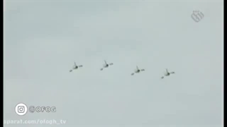 مستند پلیس خلیج فارس _ پخش تصاویری از لحظات توقیف ناوانگلیسی در خلیج فارس