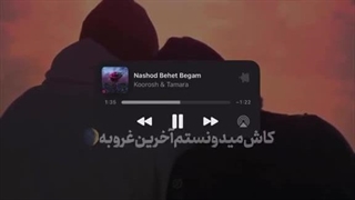 دستت تو دستم میدوئیدیم تو کوچه "  که ازم گرفتنت.... با یه گلوله:)