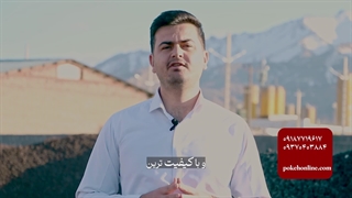 معرفی پوکه آنلاین و راه های ارتباطی -09187719617