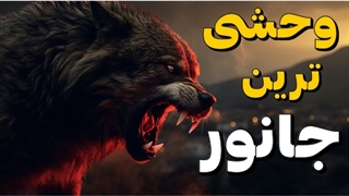 راز هایی از گرگ ها