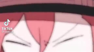 سگ های ولگرد بانگو