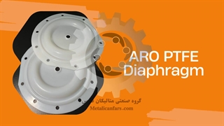 PTFE Diaphragm