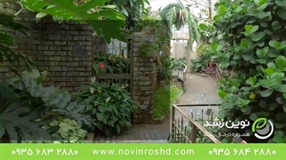 چه کودی به درختان و گیاهان بدهیم؟