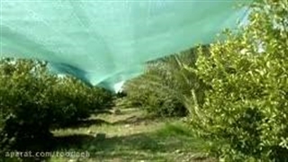 توری شید سرمازدگی , توری ضد سرما ,توری محافظ درختان و گیاهان