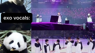 EXO VOCALS  VS  exo
