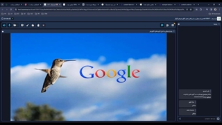 درک هدف کاربر هنگام جستجو | Hummingbird Algorithm