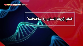کدام ژن‌ها انسان را ساخته‌اند؟