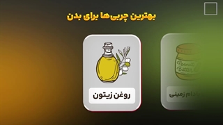 بهترین چربی ها برای بدن