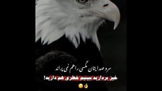 اهنگ خفن کردی ))زیر نگاه کنید 