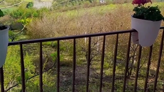 اجاره ویلای کوهستانی ،09119543219