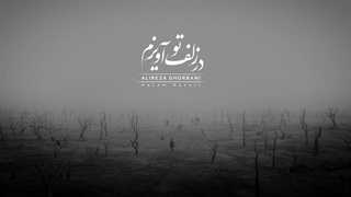 علیرضا قربانی - در زلف تو آویزم