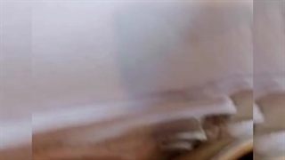 دان قهوه ی روبوستای پی بی