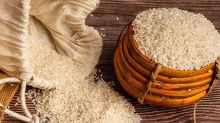 برنج مختار هاشمی چیست و چه ویژگی هایی دارد؟