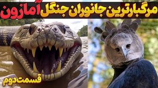 خطرناک ترین حیوانات جنگل آمازون | جانوران خطرناک جهنم سیاه آمازون قسمت دوم
