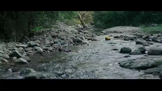 درای بگ 30 و 40 لیتری کوله شو نیچرهایک