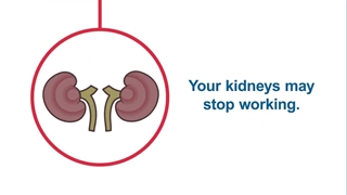 نحوه کارکرد کلیه