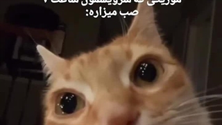 فقط رامین تجنگی