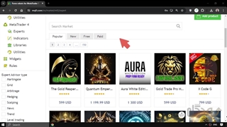 اکسپرت های رایگان متاتریدر (آموزش دریافت)