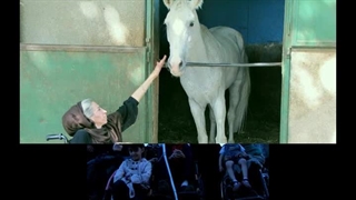 چهارمین پارانور 9 مهر 1392