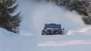 هیجان زمستانی