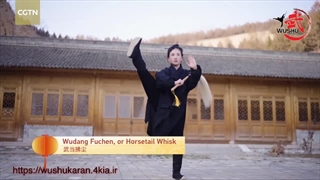 سلاح سرد در رشته ورزشی ووشو