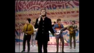 The Turtles - Happy Together