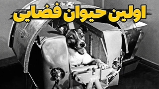 داستان اولین حیوانی که به فضا رفت!