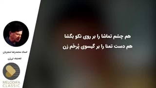 محمدرضا شجریان - تصنیف نی زن