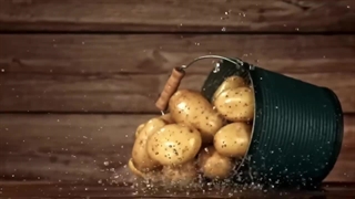 سیب زمینی مک دونالد چه‌جوری درست میشه؟ یک  روز در کارخونه تولید سیب زمینی!!!