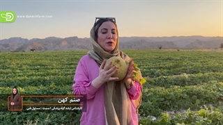 پیشگیری از صابونی شدن ملون