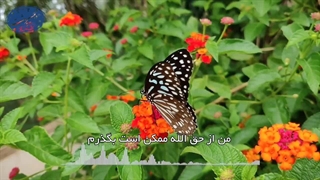 گردنۀ مرصاد(آیت الله العظمی مظاهری)