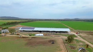 ساخت سوله نگهداری گاو شیری