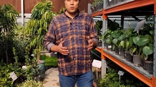 مهم ترین نکاتی که باید بدونید