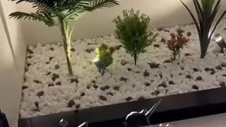 منظره‌ای زیبا و دوست‌داشتی