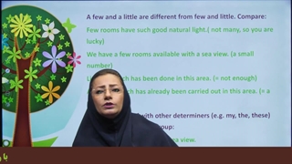 نمونه سوال از اسامی قابل شمارش و غیر قابل شمارش