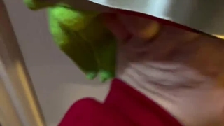 منزل به بهترین شکل ممکن تمیز و آراسته