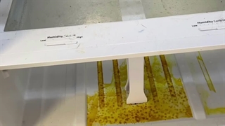 شرکت نظافت منزل با تجربه و کیفیت بالا